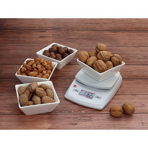 Cân kỹ thuật Ohaus 1 số lẻ (0.1g)
