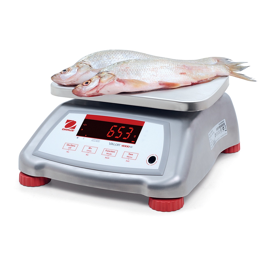Cân kỹ thuật Ohaus Model V41PWE...